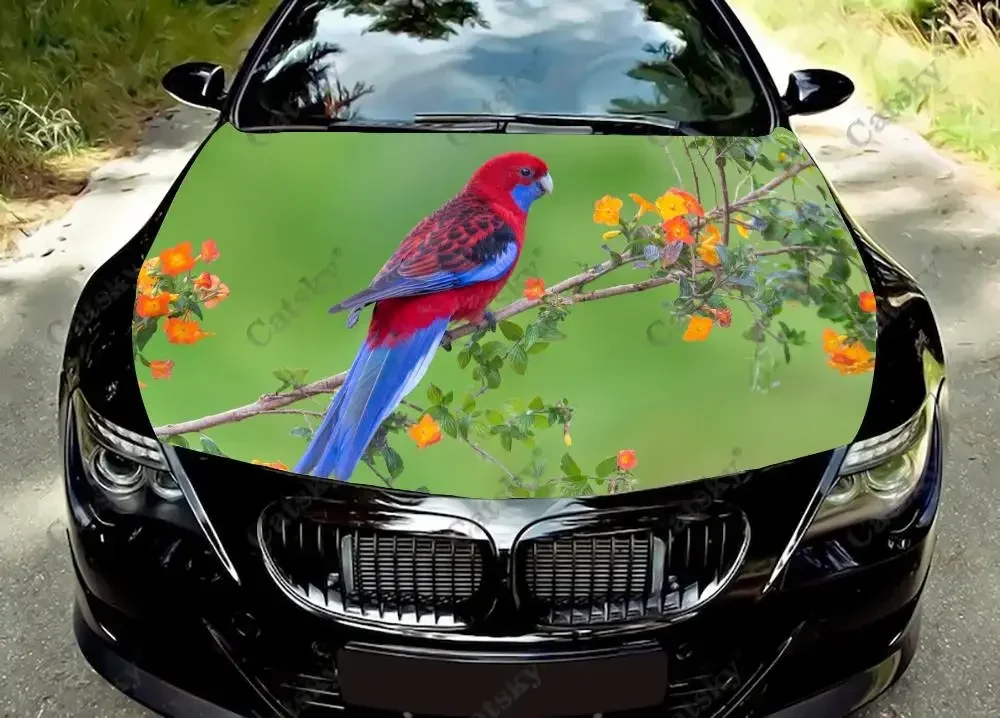 Parrot animal Car hood decal vinyl sticker graphic wrap decals graphic engine stickers suitable for most vehicles