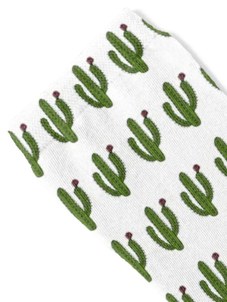 Southwest Cartoon Saguaro Cactus Flower Socks custom sports hiking Boy Child Socks Women's