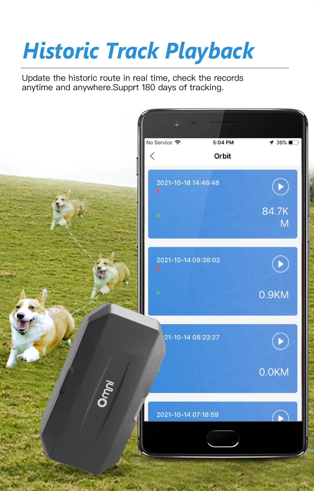 Collare localizzatore GPS per animali WiFi 4G Collare localizzatore per cani da caccia Rastreador Collare localizzatore GPS per animali domestici