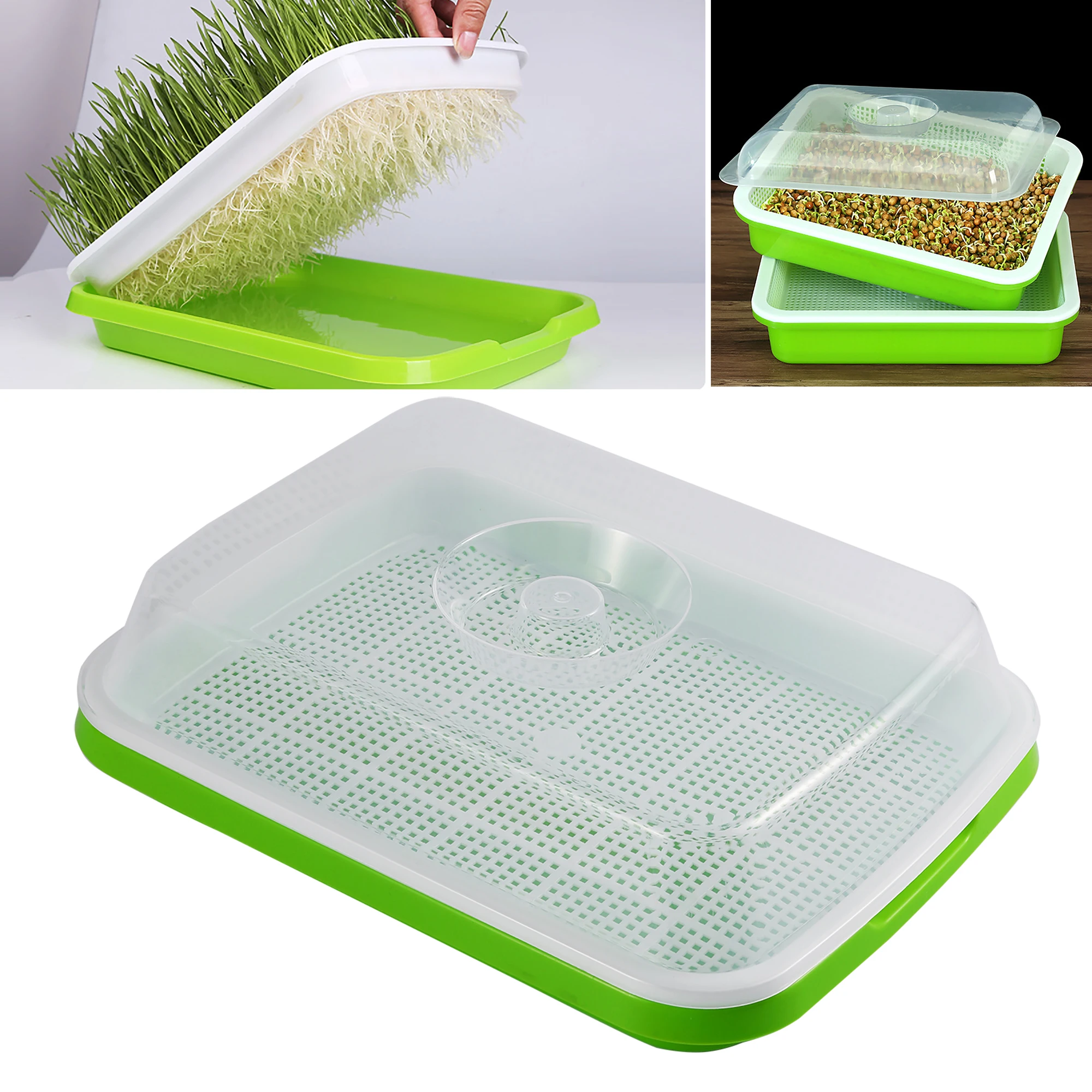 

Sprouting Tray Box Pea Bean Wheat Cat Grass Seedling Germination Planting Soilless Hydroponics Nursery Plate Seed Sprouter