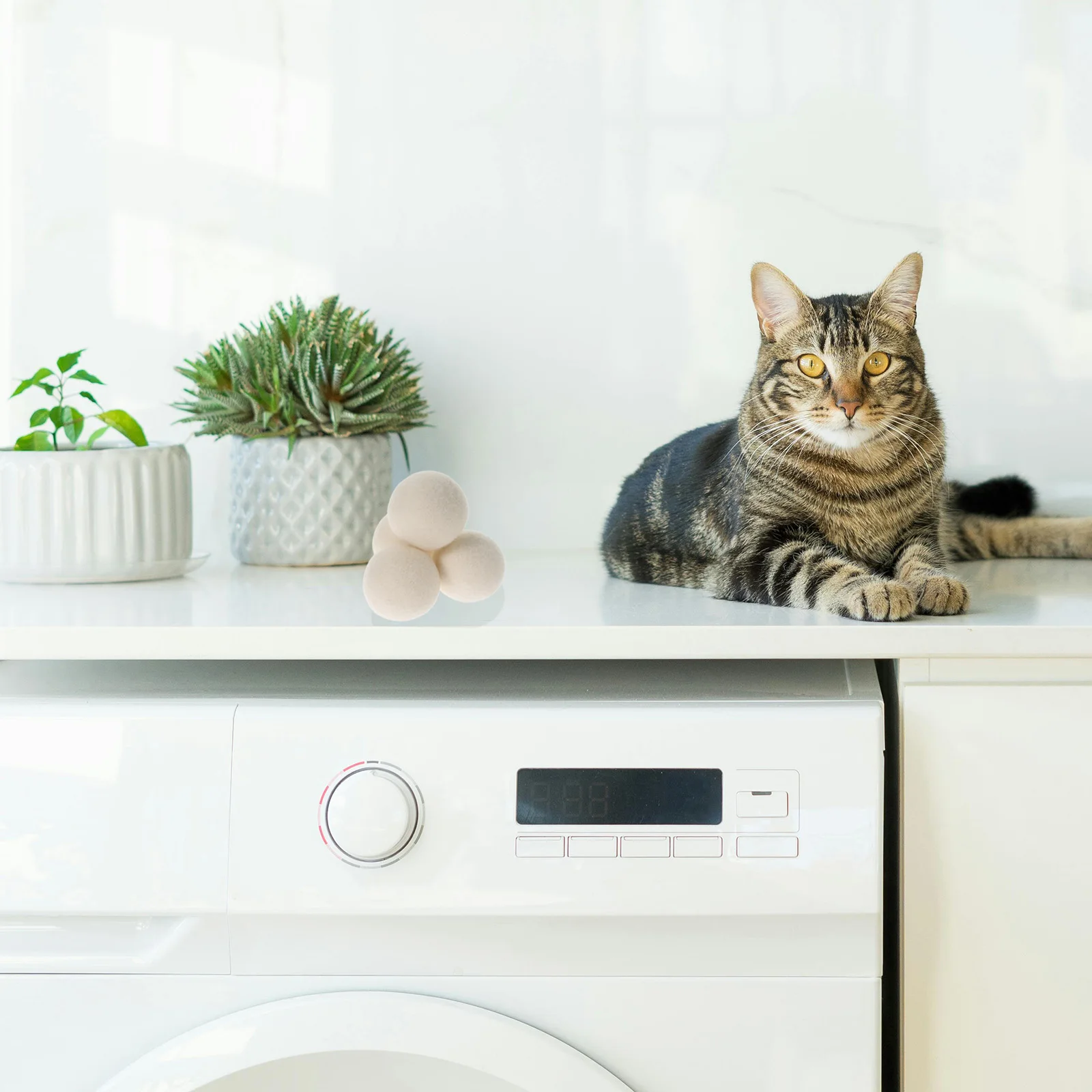 

6 Pcs Anti-static Wool Ball Drying Balls White High Quality Laundry Accessories