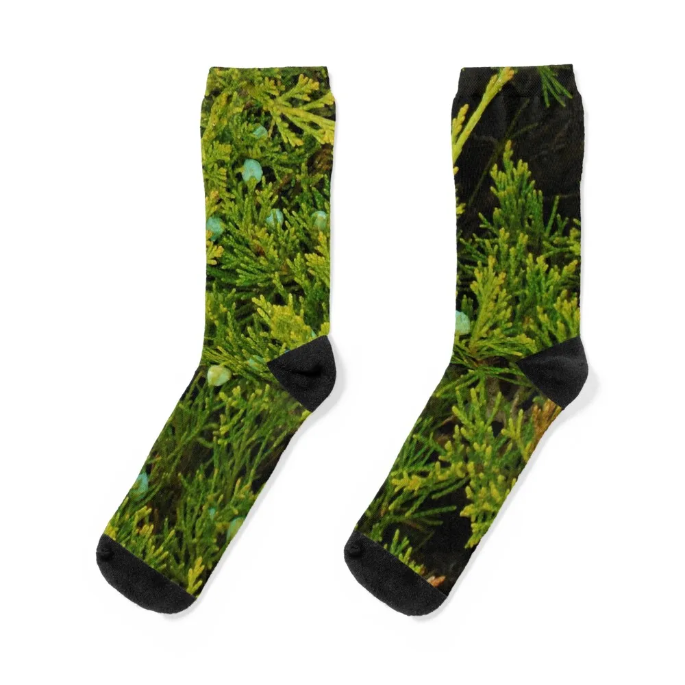 

Evergreen Juniper Tree Branches And Berries Photo Fabric Pattern Horizontal Socks retro loose sports stockings Women Socks Men's