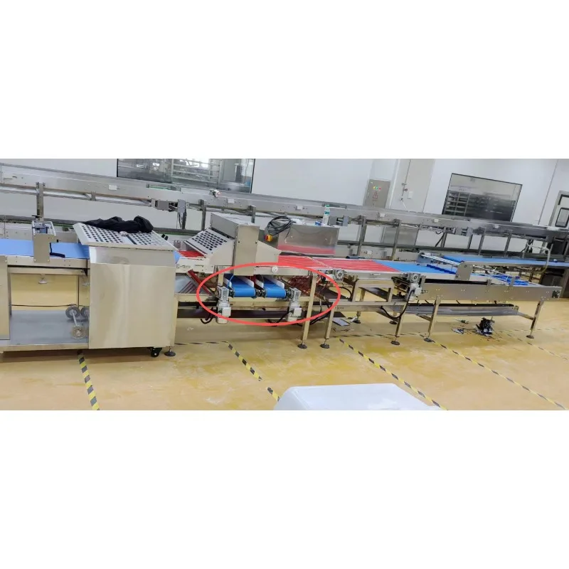 Customized Automatic Dough Cutting Machine Mesh Belt Dough Slicing Conveyor Equipment For Cookie Biscuit Production Line