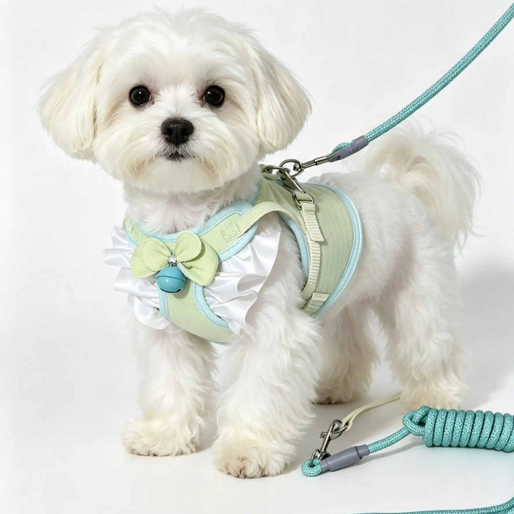 Cartoon Pet Harness and Leash Set for Cat Dogs Collars Cats-No-Pull Reflective Padded Vest Adjustable Soft Mesh Dog  Harnesses view 3