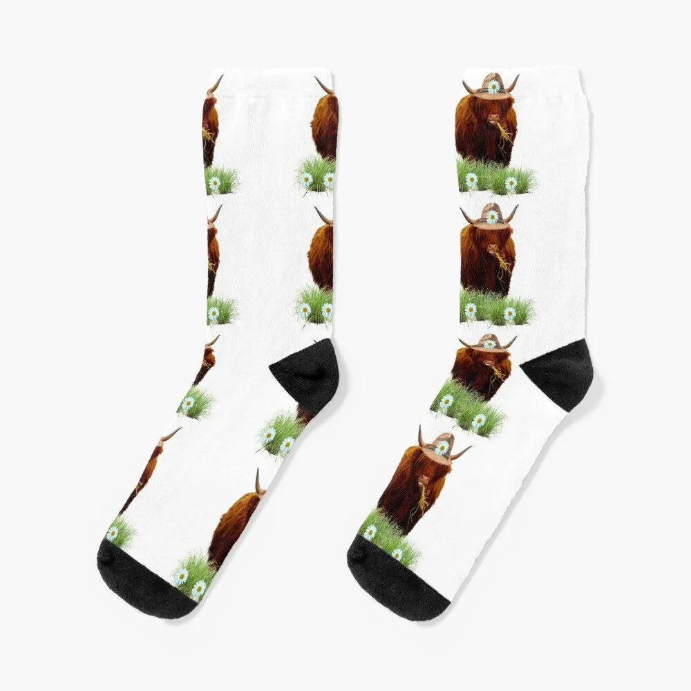 Highland Cow Happily Chewing Hay with Daises Socks Climbing with print Socks Female Men's