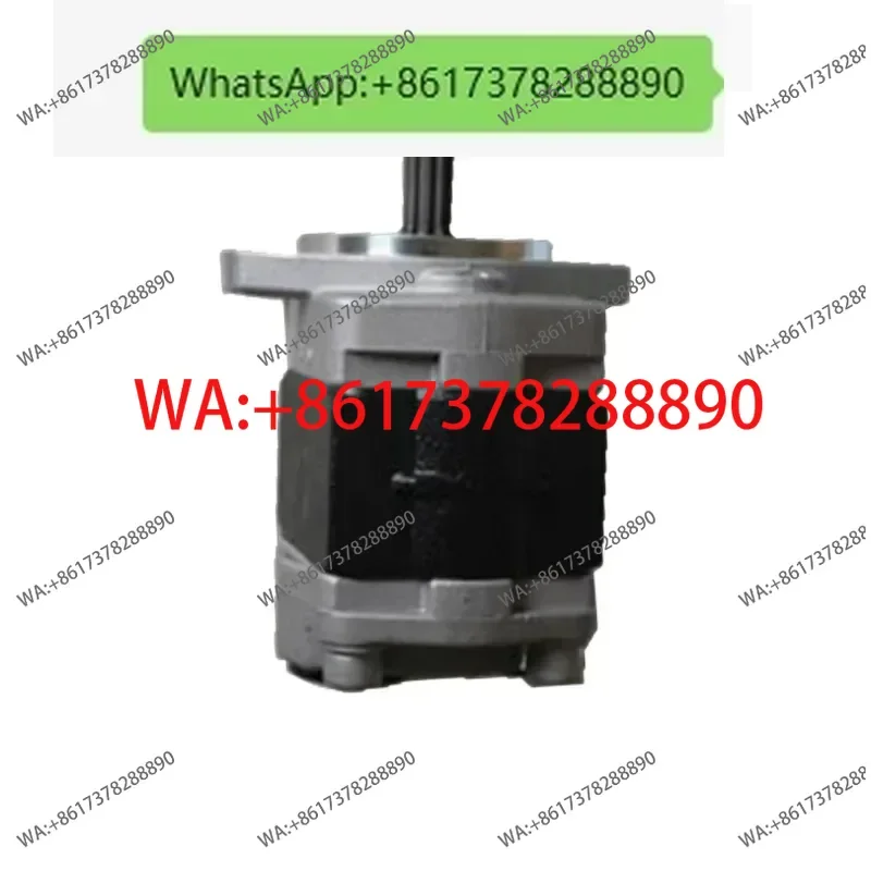 

Японский гидравлический шестеренный насос GPY-234567891GPY-12R, модель шестеренного масляного насоса высокого давления, подлинная фабрика