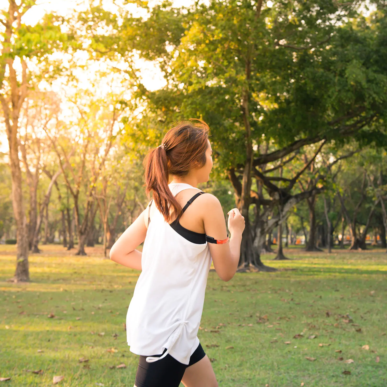 

2 pcs Led Glowing Bracelets Night Running Armband Light For Jogging Cycling Outdoor Sports Safety Belt Strap Wristbands