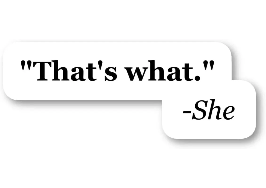 

4pcs That's What She Said Sticker Funny Quotes Stickers - Vinyl Laptop Stickers - for Laptop, Phone, Water Bottle, Car