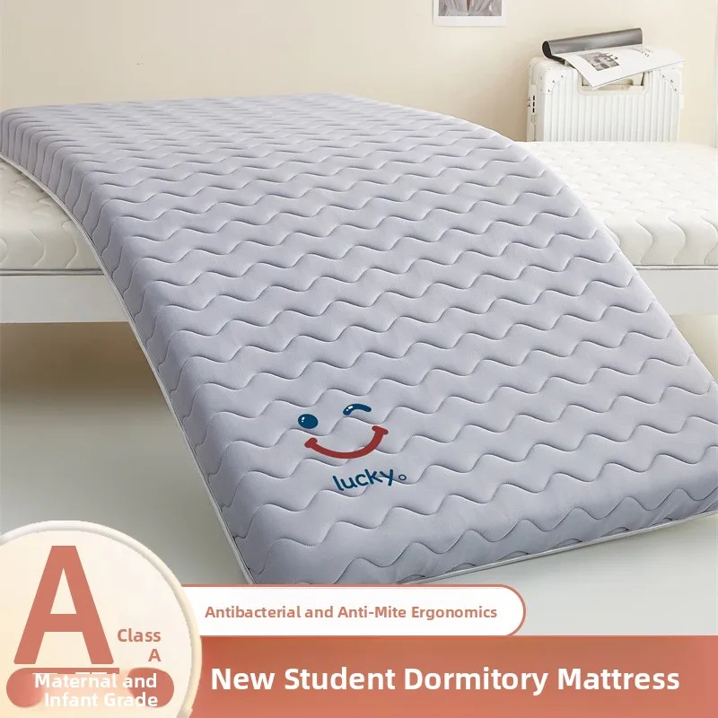 Student Dormitory Matress Single Tatami Soft Pad 90x190 Special Quiltable Bedding Universal Home Use Matress Comfortable Support