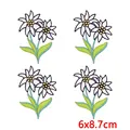 PE17572CT