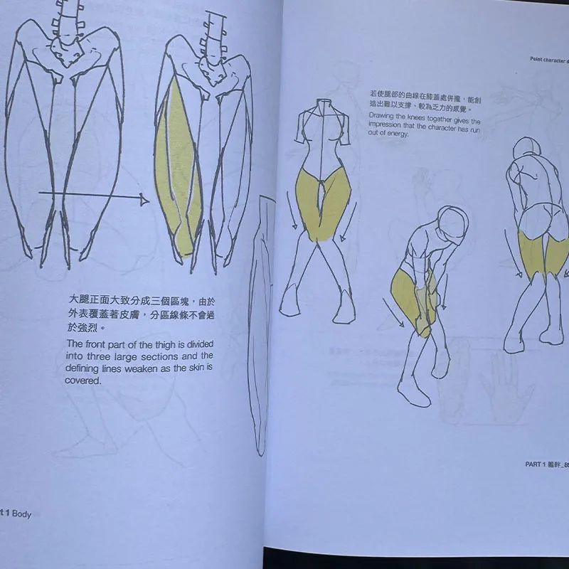 Korean Painter TACO Point Character Drawing Book Vol 1-2 Human Body Structure Drawing 2 Books Technique Art Books