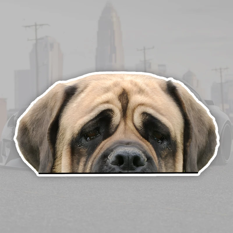 17x8.5cm English Mastiff Car Stickers Scratch Covering Self-Adhesive Waterproof Decal Motorcycle Decorative Accessories