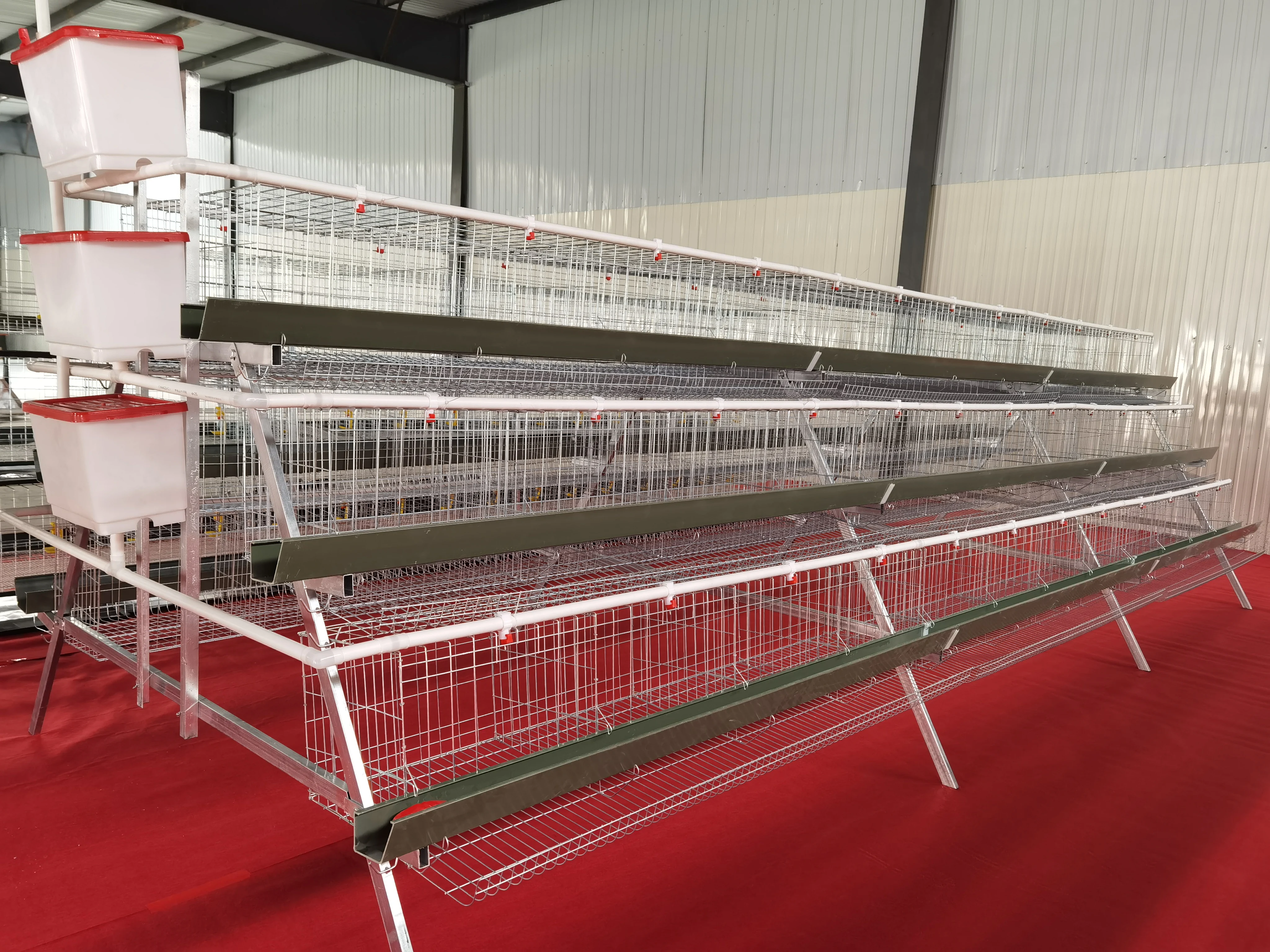 Jaula para gallinas ponedoras automática de acero tipo A con capacidad para 96 gallinas, nueva, para aves de corral y pollos de engorde