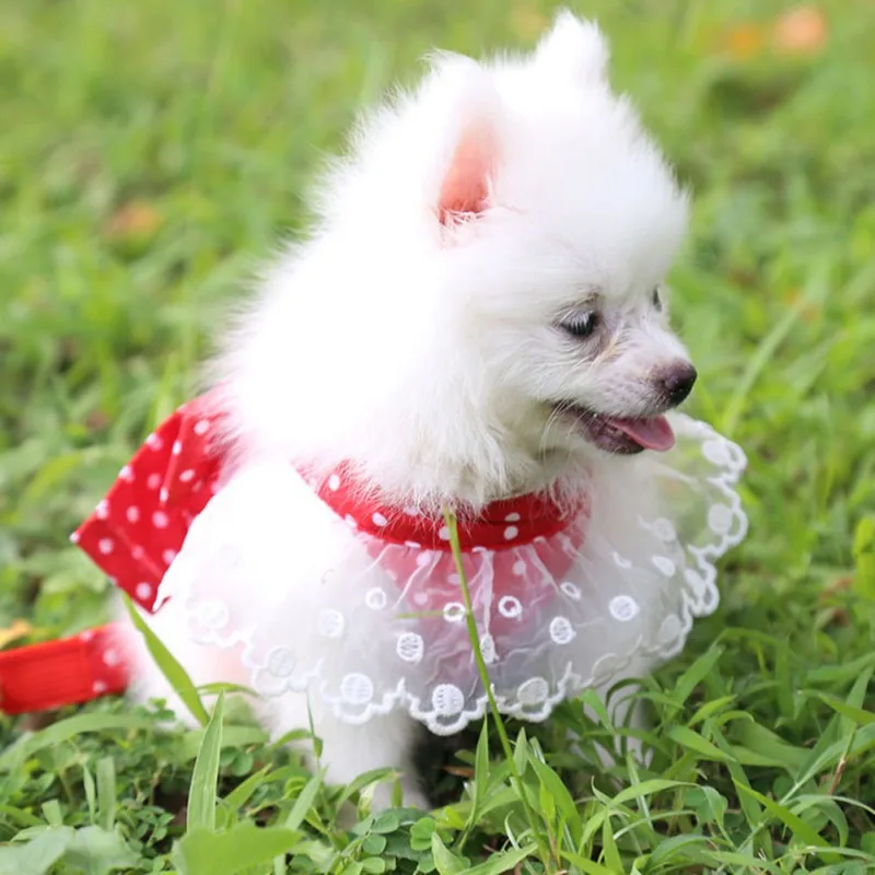 Dog Harness Beautiful Lace Cat Leash Bow Knot Chest Strap Dog Collar Pet Supplies Accessories Dog Leash Red Bow Pet Supplies