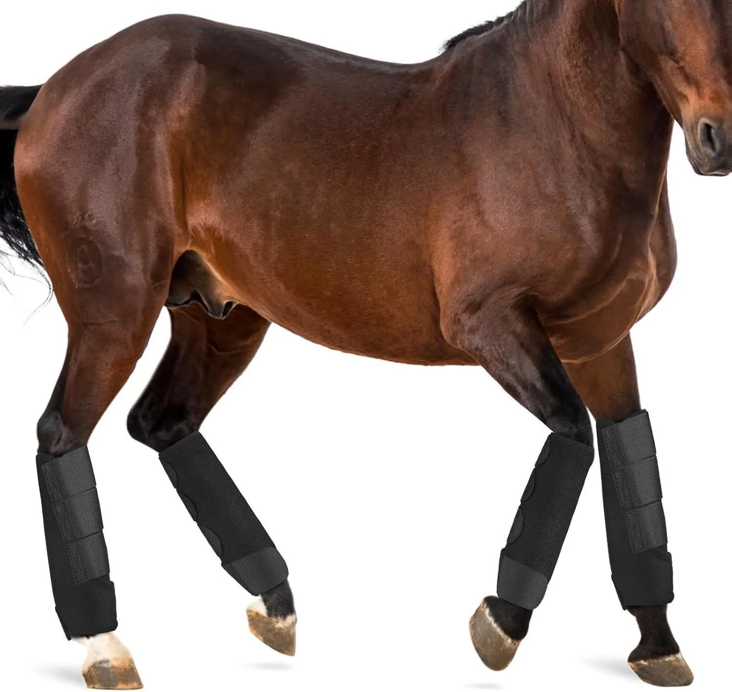 Neoprene Horse Leg Boots Custom Color Equine Leg Protectors