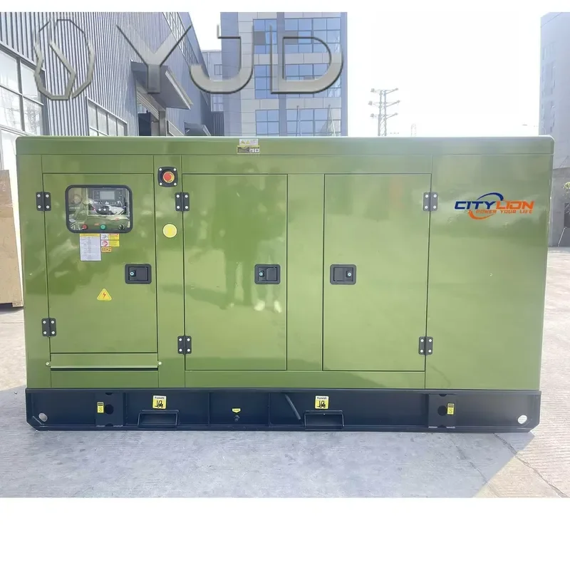 Citylion Portable AC Alternator Generators for Home 100 KVA 100KVA 80KW 80 KW Silent Generator