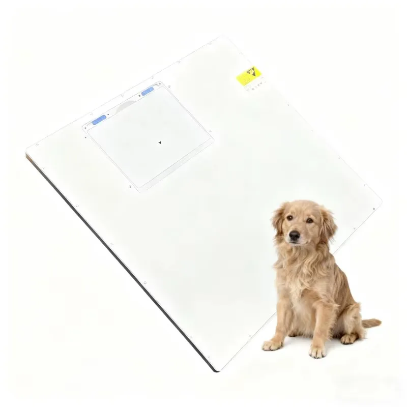 Cost-Effective Veterinary FPD Flat Panel Detector For DR X-ray System Dog Compatible 2 Year Warranty