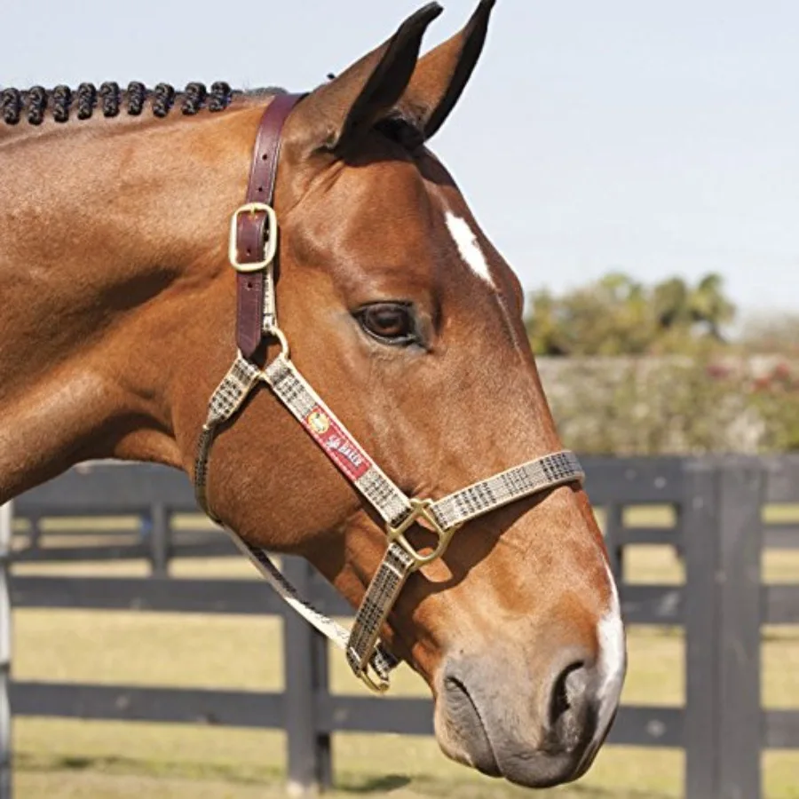 Horse halter application: nylon with breakaway leather crown traditional plaid color safety-focused design