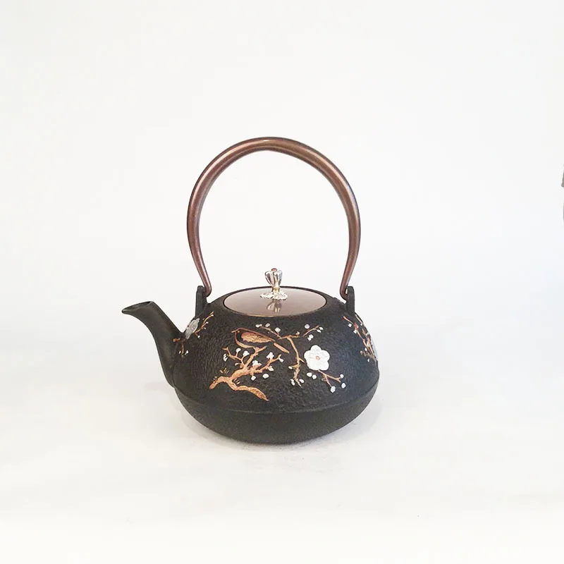 Cast Iron Teapot Pure Handmade Southern Japan  Pot Gift Tea Set 0.3L 1.2L