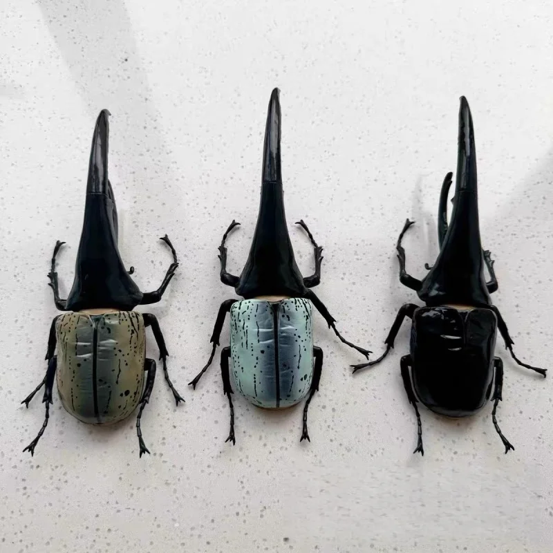 New SO-TA Gashapon Figure Anime Cute 1/1 Artificial Insect Japanese Rhinoceros Beetle Kawaii ornamen Figurine Capsule Toys Gifts