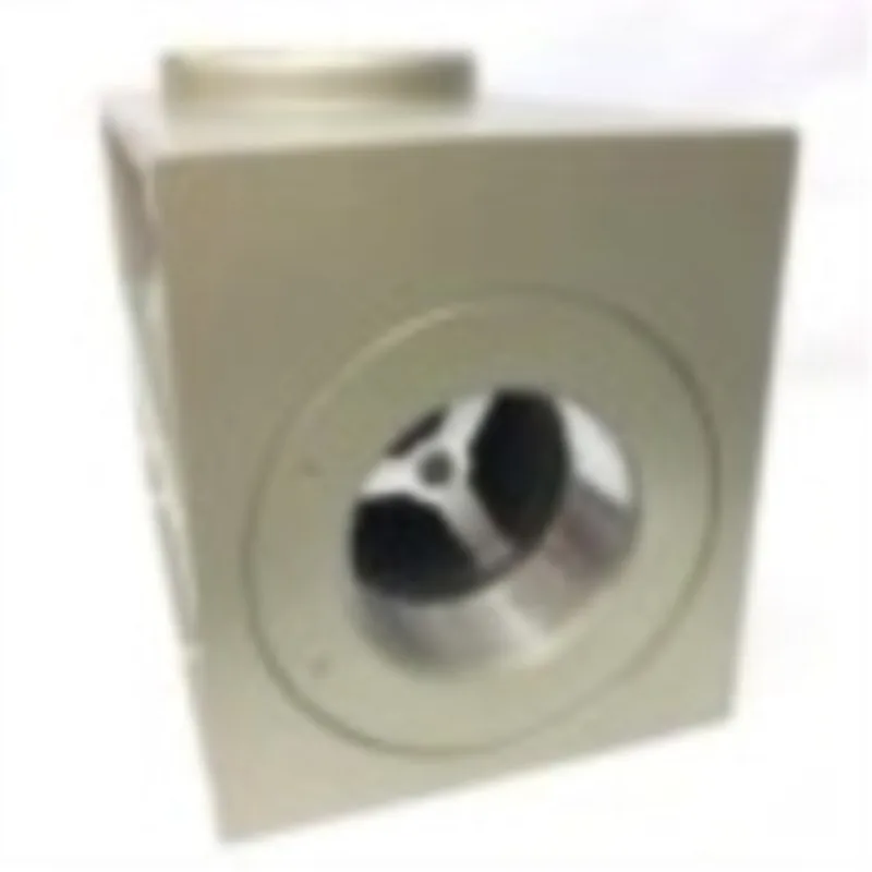 Válvula de escape rápido 2PCS KKP-L40