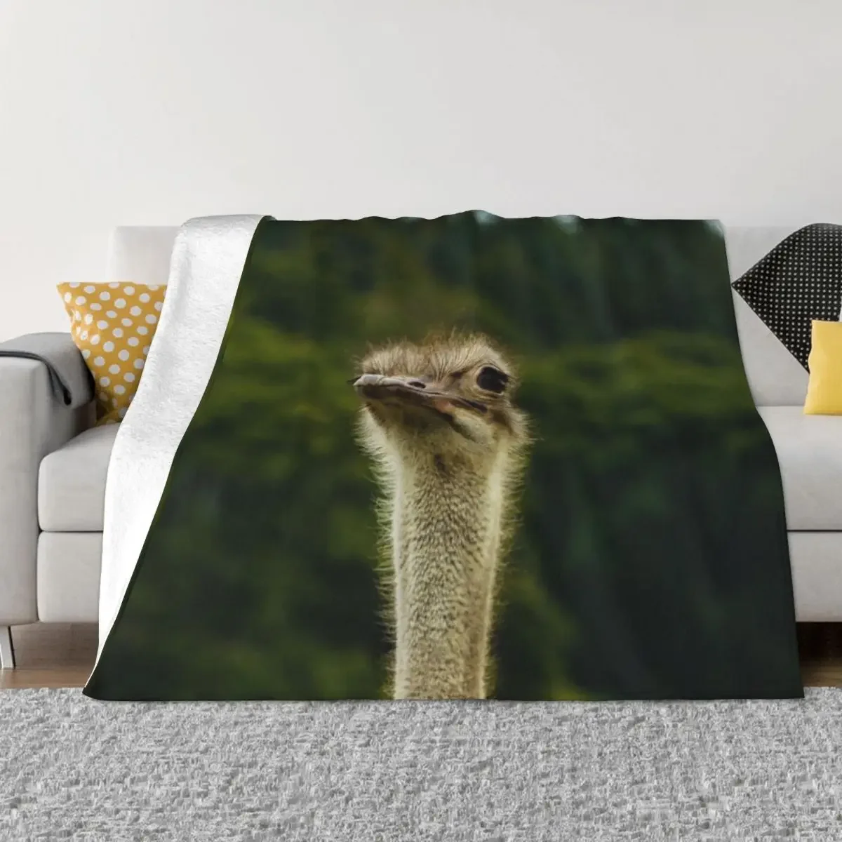 Ostrich Stood Tall Photograph - Ostrich Photography Throw Blanket Fashion Sofas Luxury Brand Designers Sofa Hairys Blankets
