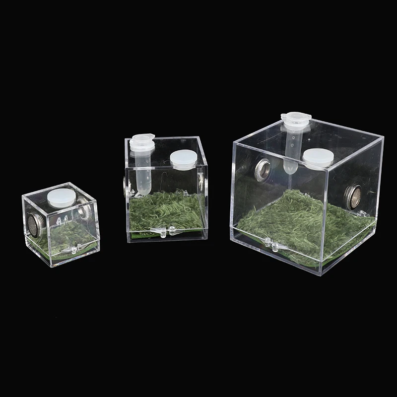 Small Spider Ant Farm Insect Breathable Terrarium Transparent Reptile Breeding Box Acrylic Acrylic Assembled Eco Box