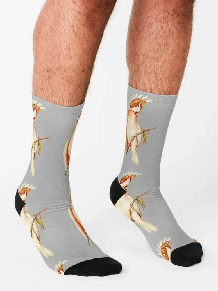 Australian Major Mitchell Cockatoo Bird Illustration Socks Lots Run soccer anti-slip anti-slip Socks For Women Men's