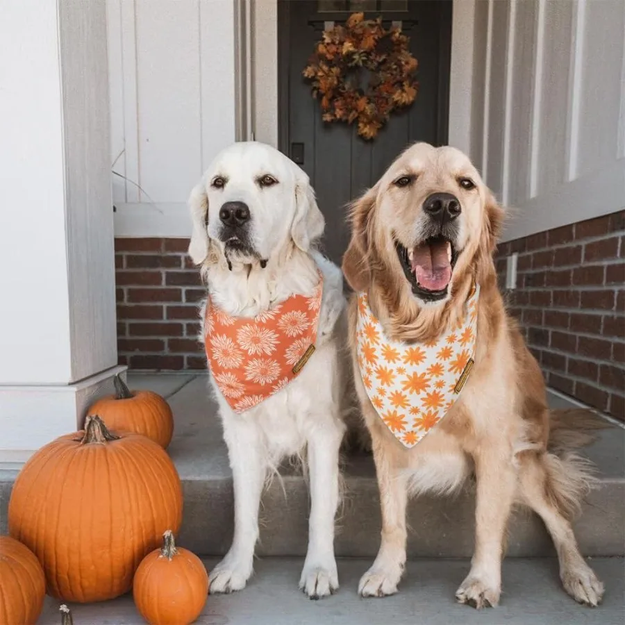 سقوط الكلب عصابات عكسها 2 حزمة ديزي مجموعة الجاموس منقوشة منقطة قابل للتعديل مثلث الأوشحة لمتوسطة كبيرة اضافية كبيرة #3