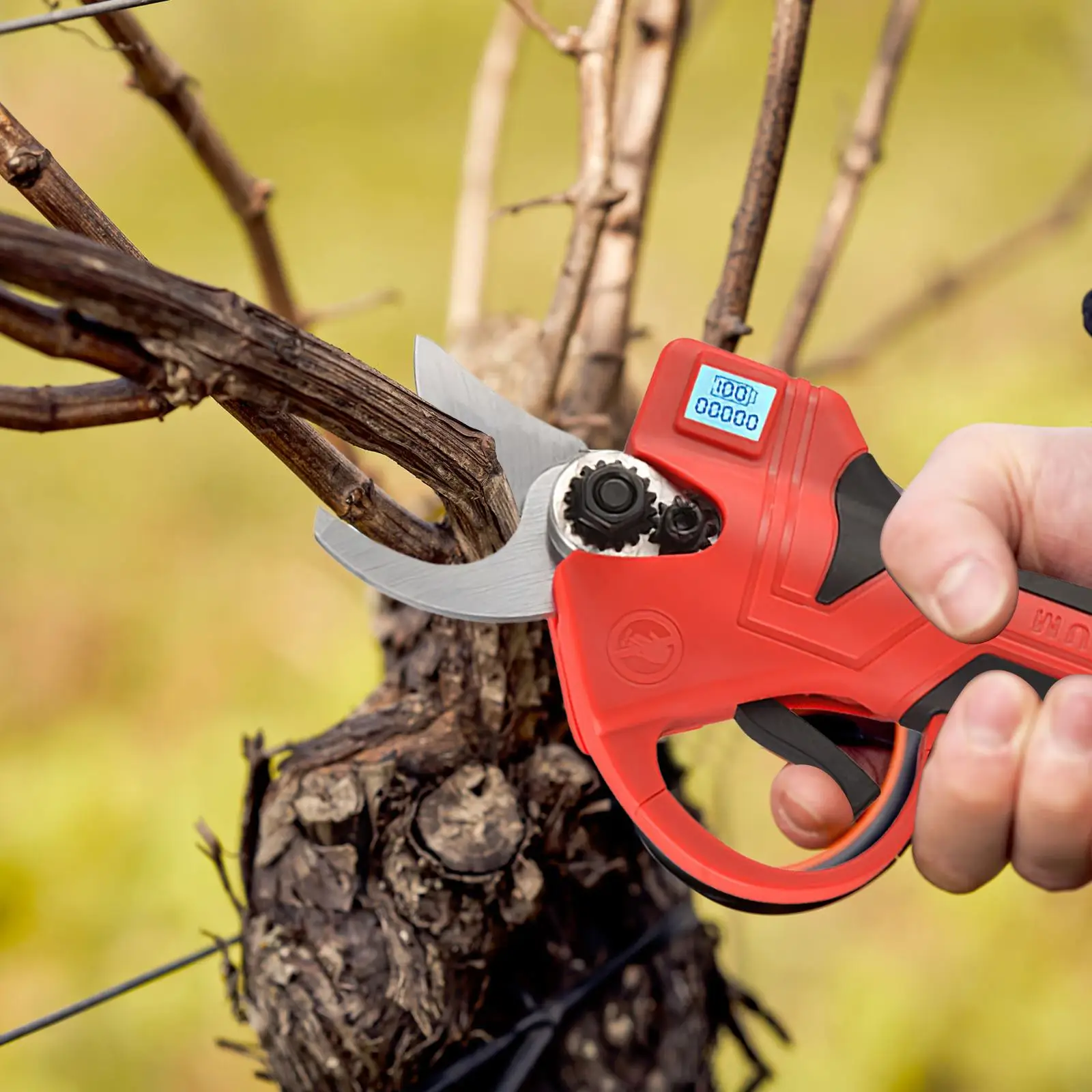 Forbici da potatura elettriche senza fili, con motore a spazzole, ricaricabili, per alberi da frutto e bonsai, con 2 batterie, lama da 30 mm.