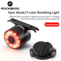 ROCKBROS Bicycle Lights Smart Brake Sensing Day/Night Sensing Bike Taillight Waterproof Type-C Cycling Taillight Accessories