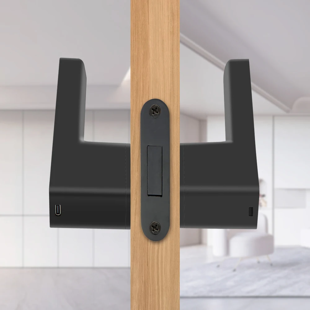 Tuya Smart Fingerprint Lock Matte Black Mute Rectangle Modern Aluminium Smartlife Digit Door Handle Locks Magnetic suction Lock