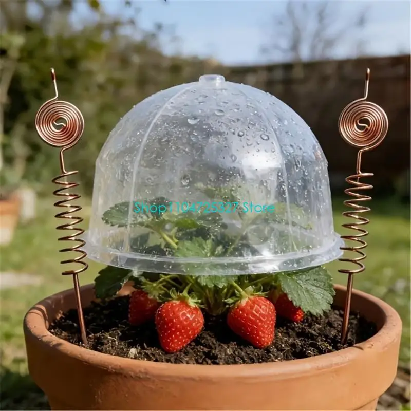 D8KF 25cm/9.84inch Metal Yard Stake With Warm Tone Coil Top for Pot Lawn Border, and Outdoor Display Use, 1 for Home Yard Uses