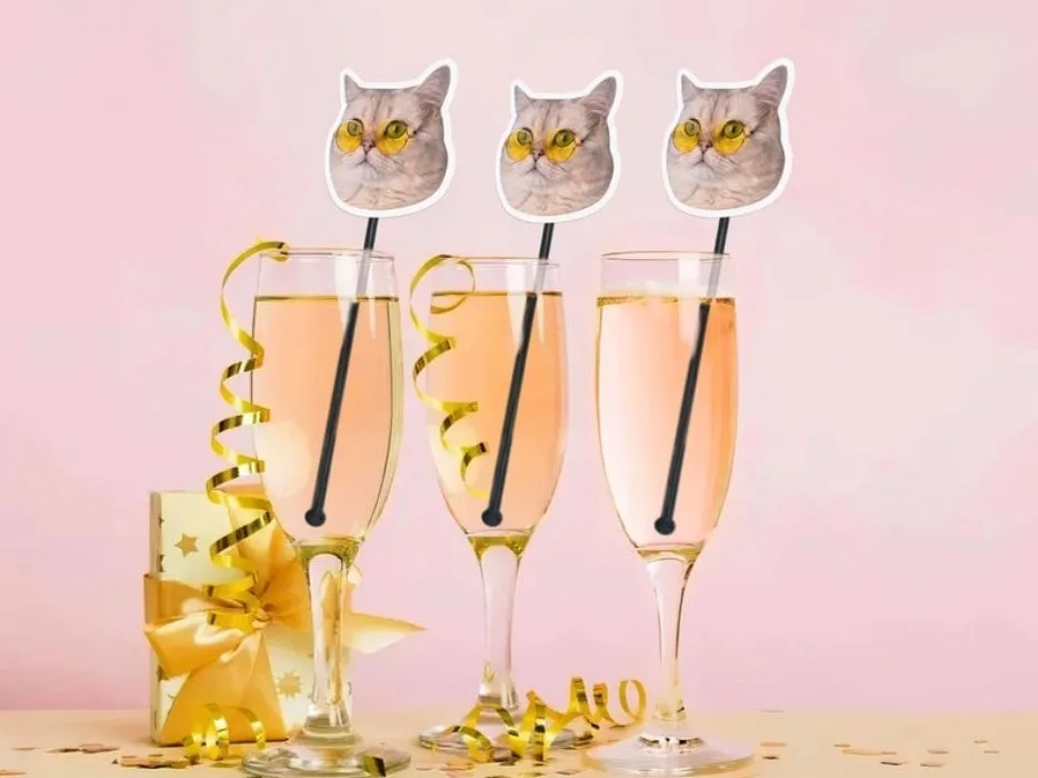 Drink Stirrers Personalized with Pet Face, Acrylic Wedding Pet Stir Sticks, Pet Wedding Cocktail Stirrer, Custom Swizzle Sticks