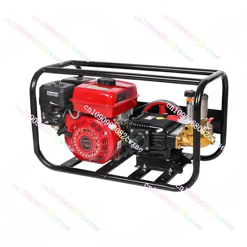 Four-stroke Gasoline High Pressure Sprayer Agricultural Orchard Sprayer Triple Cylinder Plunger Pump Sprayer