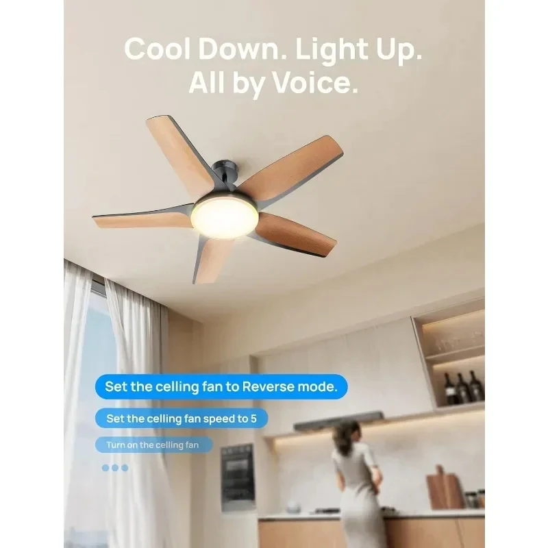 Smart ventiladores de teto com luzes, perfil baixo, iluminação regulável, ajuste de cores, RGB luz ambiente para sala de estar