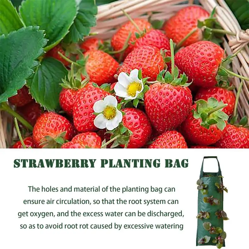 New Multi-port Grow Bags For Plant Strawberry Potato Hanging Planting Pots Fruit Vegetable Pouch Garden Supplies Flower Pot