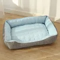 Cold nest blue