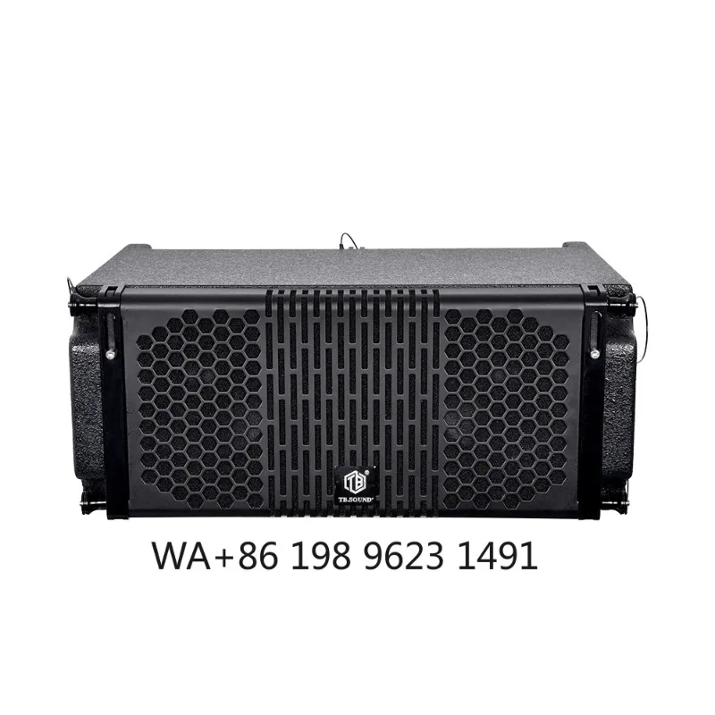 10 Inch Double Line Array Speaker 600W Wooden Enclosure Pro Audio for Outdoor Concert Stage Live Performance 3 Year Warranty