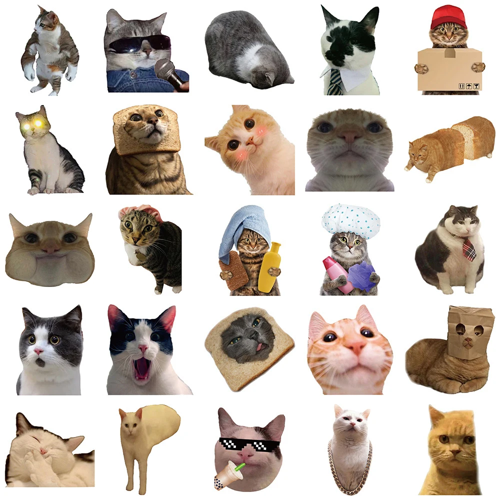 10/30/50/100 pçs engraçado bonito gato meme adesivos kawaii dos desenhos animados gatinho adesivo diy portátil bagagem telefone graffiti decalques decoração