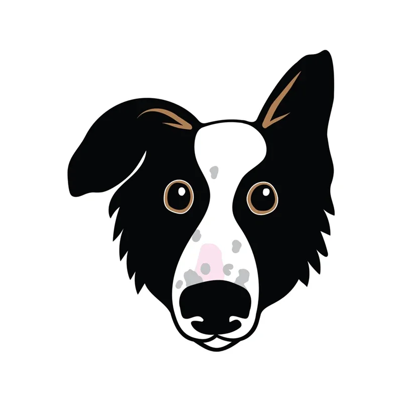 Personality Customization For Border Collie Car Stickers Graffiti Decal Windshield Waterproof Sticker Occlusion 13cm X 12.3cm