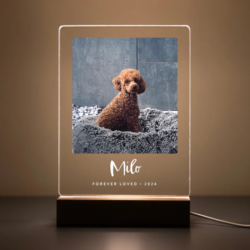 

Personalized Pet Picture Acrylic Wooden Night Light Custom LED Photo Light Frame Memorial In Memory Of Cat Dog Keepsake Gift ﻿