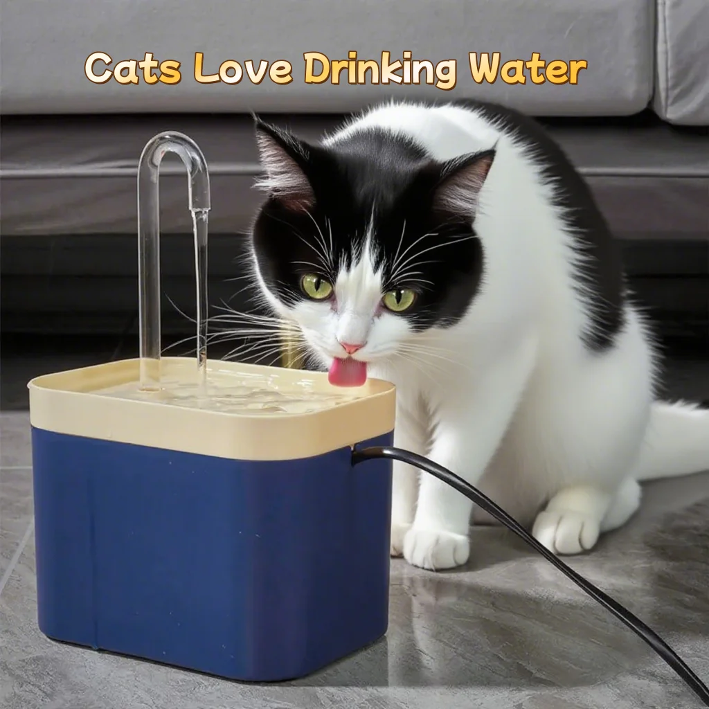 #8 New Dog Water Fountains Arrivals