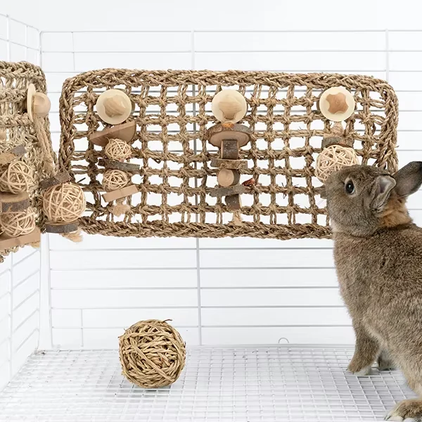 

Seagrass protection mats, toys with rabbits, pet accessories made of natural materials and stylish home decor.