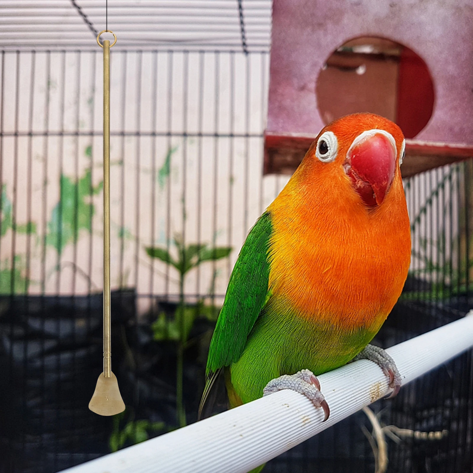 

Bird Cage Cleaning Tool Long H Poop Remover Scraper for Small Animals Cage Cleaner Guano Cleaning Tool Bird