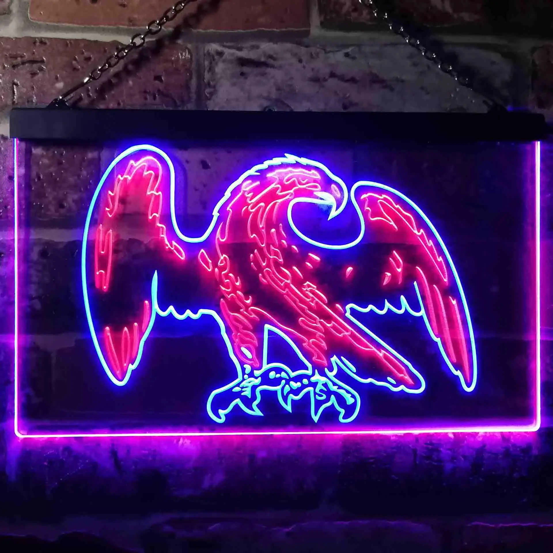America USA Eagle Dual Color Led Neon Sign st6-i0861