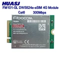 DW5824e-eSIM