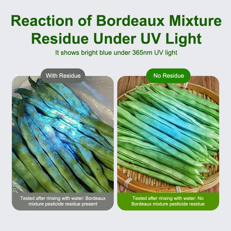 Ultraviolet Light Vegetable Testing Lamp Fluorescent Agent Testing Flashlight