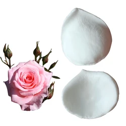 2pcs Rose Petals Veiner Sugar Tool Meridians Flower Silicone Cake Mold Simulation Gum Paste Mould M2990