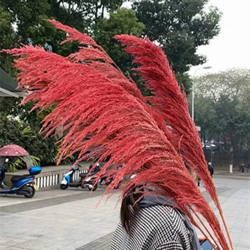 Large Dried Flowers Pampas Grass Tall,Boho Home Decor,Natural Pompas Floral for Wedding Party Arrangement Living Room Decor